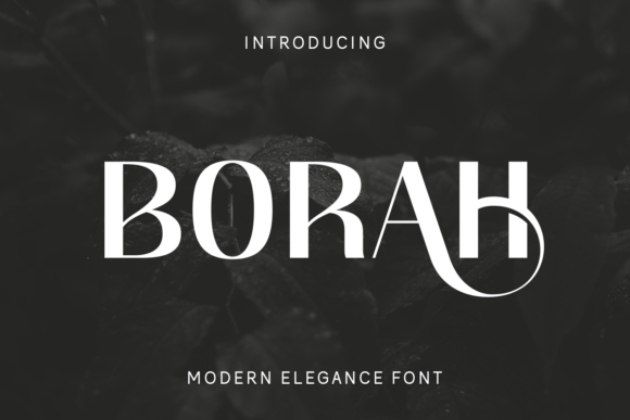 Borah Font for Modern Branding and Elegance