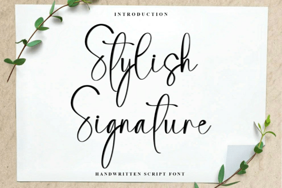 Stylish Signature Font for Modern Web Design